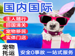 东营胜利航空邮寄国际宠物托运 【国